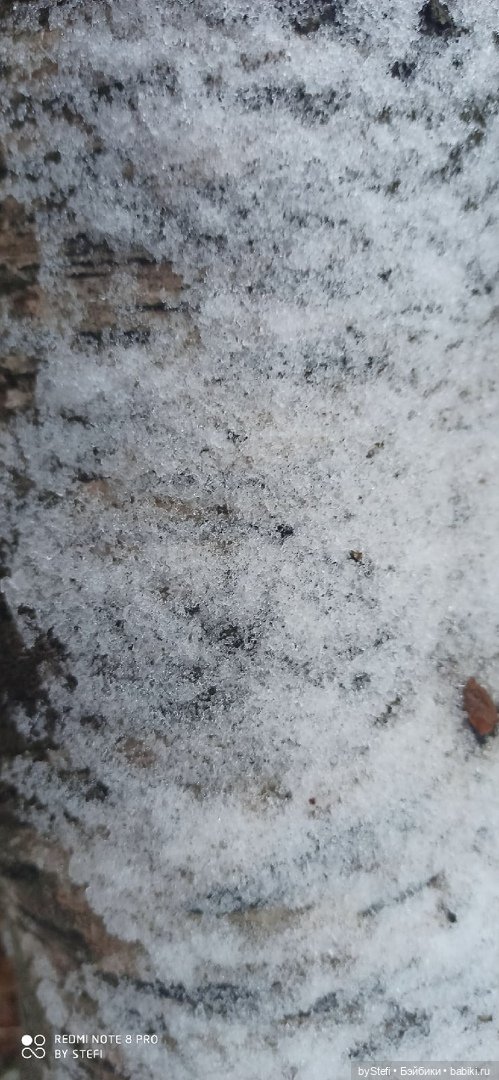 Приглашаю прогуляться по Заполярью :) 09.10.2021 (фото 5)