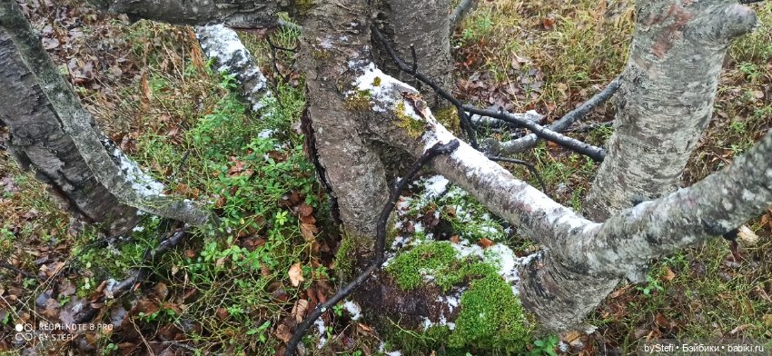 Приглашаю прогуляться по Заполярью :) 09.10.2021