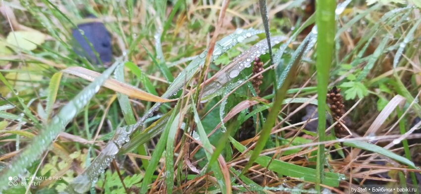 Приглашаю прогуляться по Заполярью :) 09.10.2021