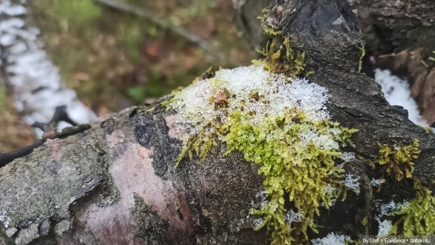 Приглашаю прогуляться по Заполярью :) 09.10.2021