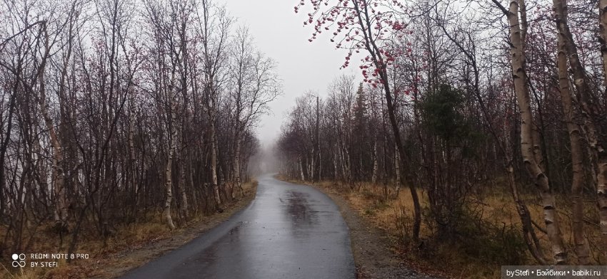 Приглашаю прогуляться по Заполярью :) 09.10.2021