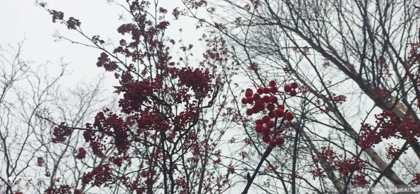 Приглашаю прогуляться по Заполярью :) 09.10.2021