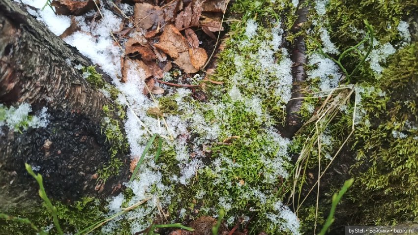 Приглашаю прогуляться по Заполярью :) 09.10.2021