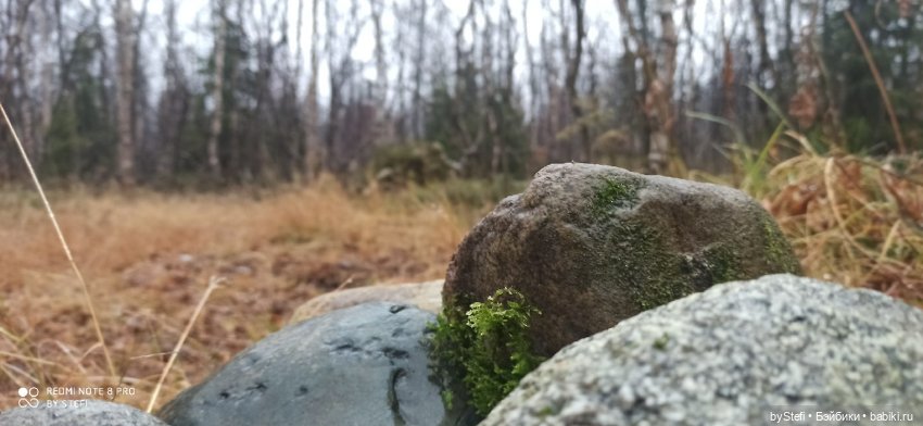 Приглашаю прогуляться по Заполярью :) 09.10.2021