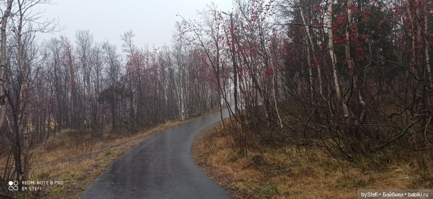 Приглашаю прогуляться по Заполярью :) 09.10.2021