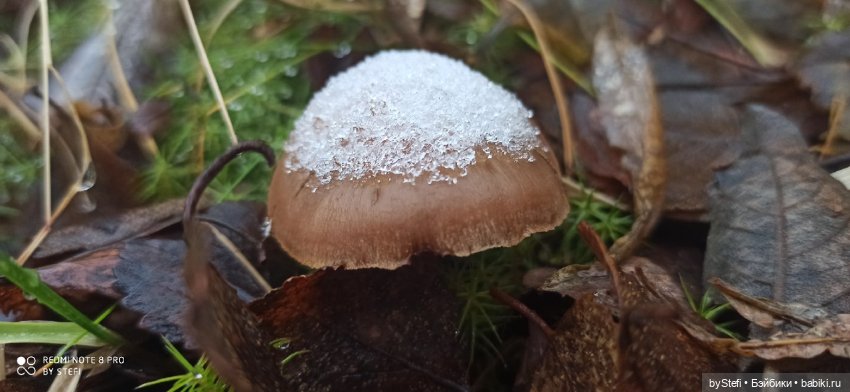 Приглашаю прогуляться по Заполярью :) 09.10.2021