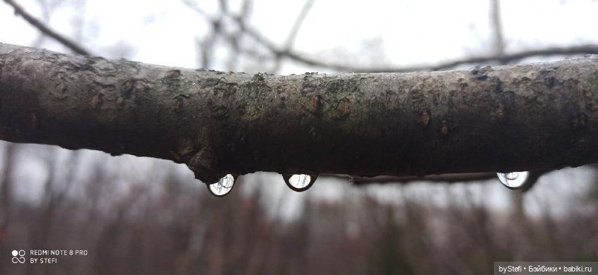 Приглашаю прогуляться по Заполярью :) 09.10.2021