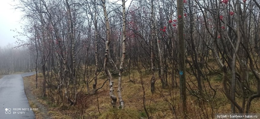 Приглашаю прогуляться по Заполярью :) 09.10.2021