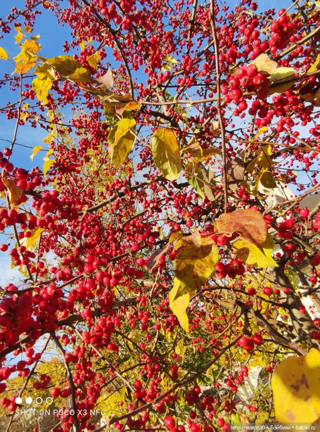 Золотая осень и кукла Наденька