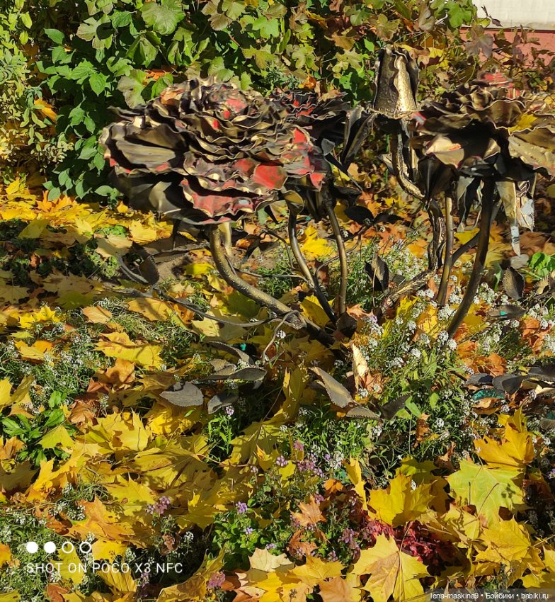 Золотая осень и кукла Наденька (фото 4)