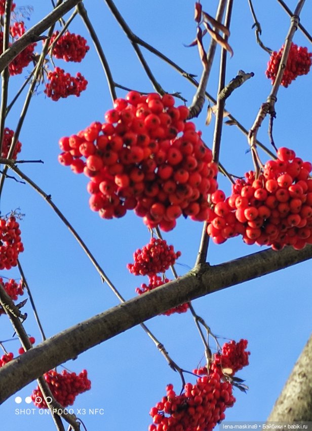 Золотая осень и кукла Наденька