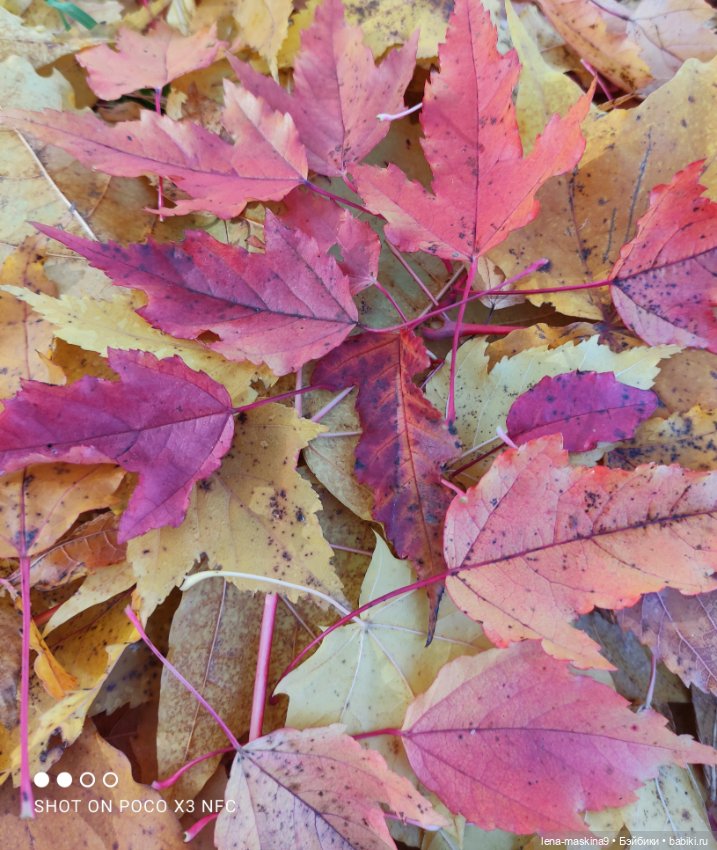 Золотая осень и кукла Наденька