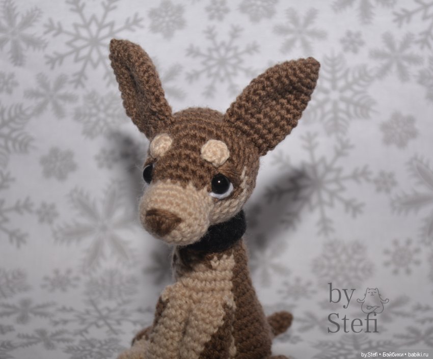 Пёсель — Другие хобби и увлечения: сад