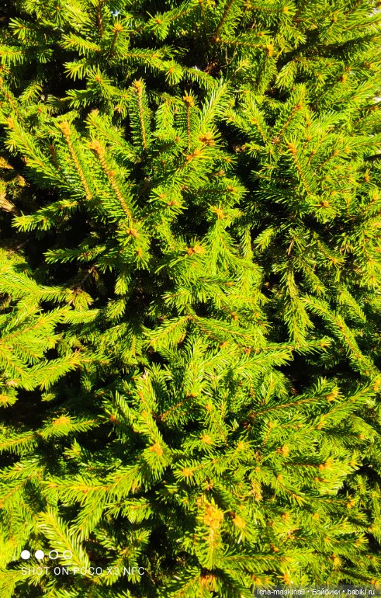 Золотая осень и кукла Наденька