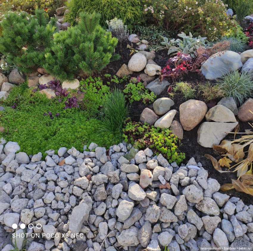 Золотая осень и кукла Наденька (фото 6)