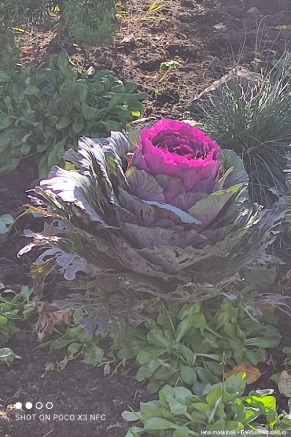 Золотая осень и кукла Наденька