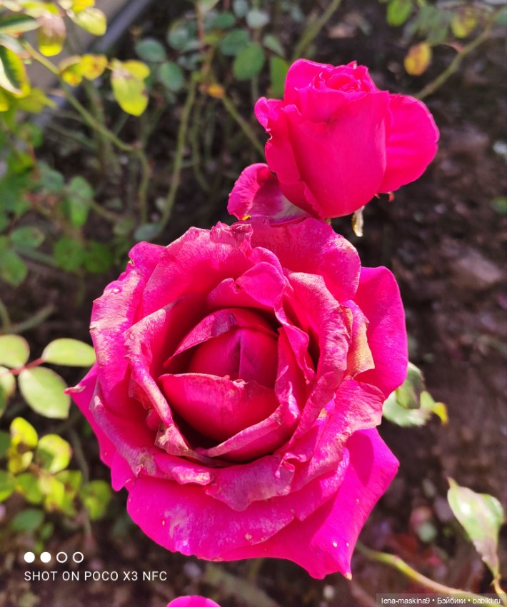 Золотая осень и кукла Наденька