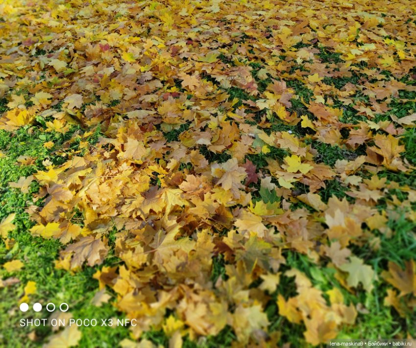 Золотая осень и кукла Наденька (фото 8)