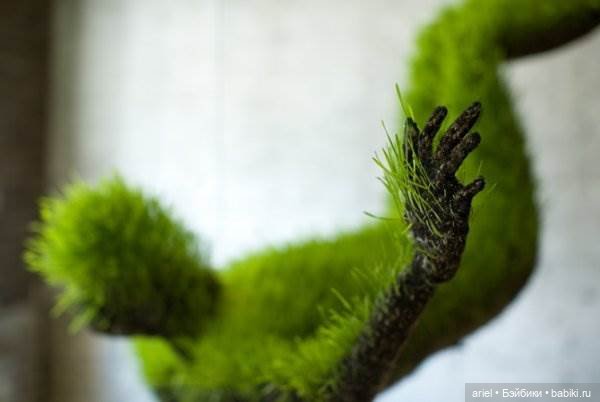 Скульптуры из травы Mathilde Roussel (фото 3)