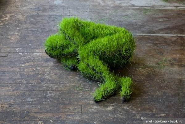 Скульптуры из травы Mathilde Roussel (фото 4)