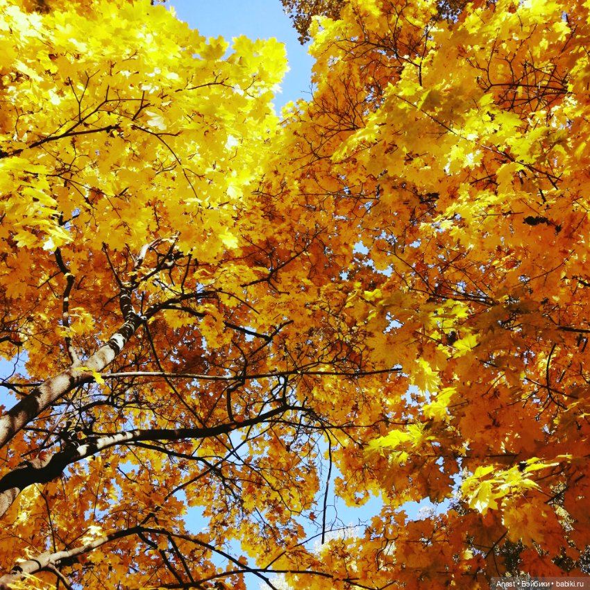 Вот и осень пришла — Разные шарнирные куклы (не БЖД): редкие (фото 9)