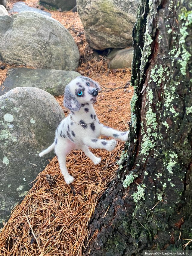 Далматинка Джессика — Вязаные игрушки и амигуруми: крючком (фото 7)