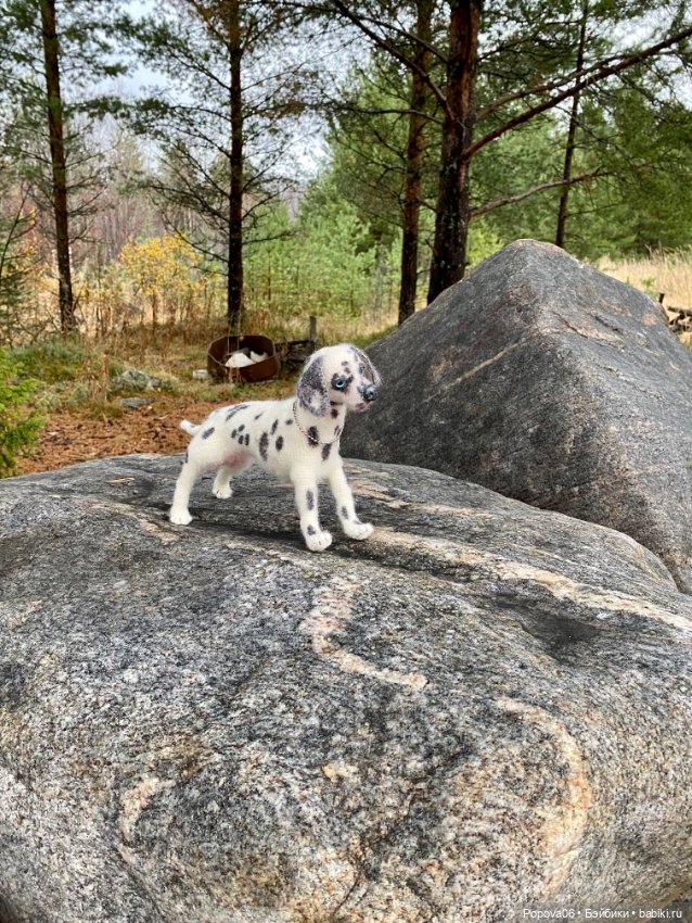 Далматинка Джессика — Вязаные игрушки и амигуруми: крючком (фото 2)