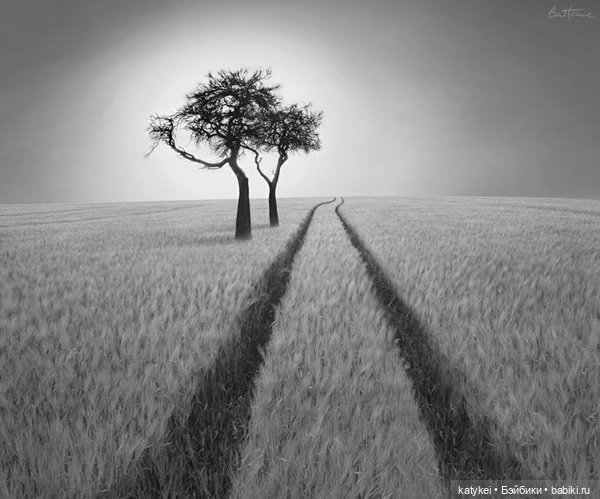 Музыка и фото — Болталка и разговоры обо всем: жизнь