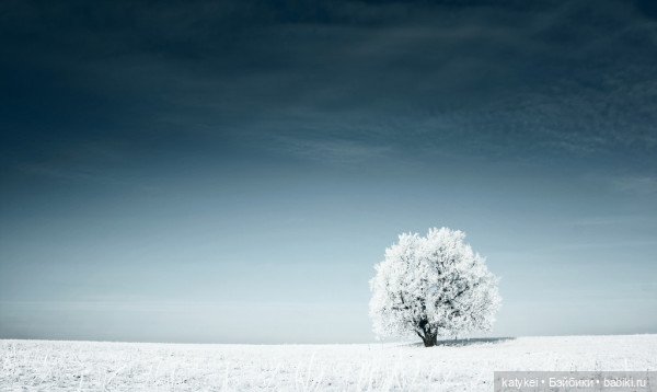 Музыка и фото — Болталка и разговоры обо всем: жизнь