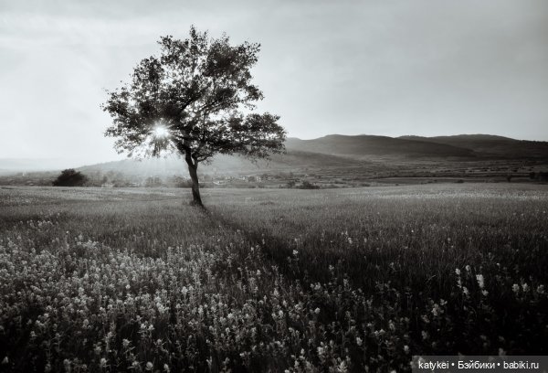 Музыка и фото — Болталка и разговоры обо всем: жизнь