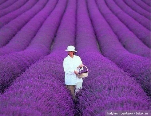 Музыка и фото — Болталка и разговоры обо всем: жизнь