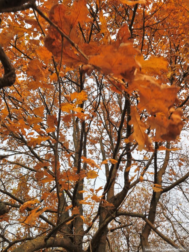 Кристалл и октябрь — Куклы Milim Studio (Милим): российские БЖД (фото 9)