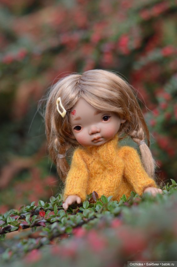 На ковре из жёлтых листьев (фото 9)