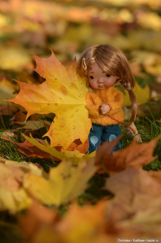 На ковре из жёлтых листьев (фото 2)