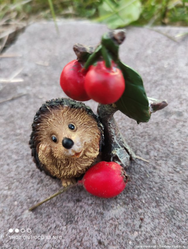 Ёжик, осень и хорошее настроение