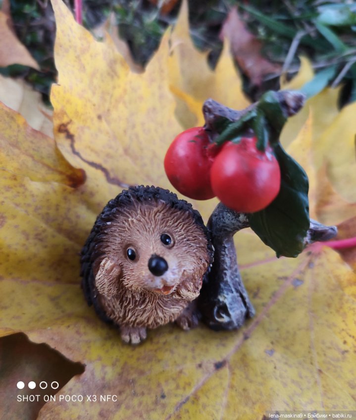 Ёжик, осень и хорошее настроение