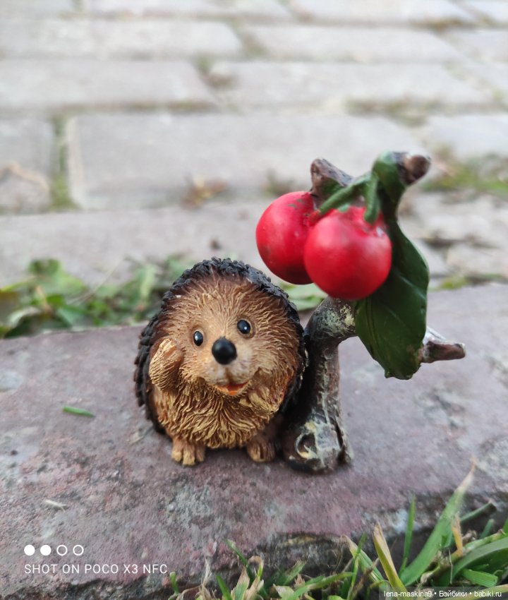 Ёжик, осень и хорошее настроение