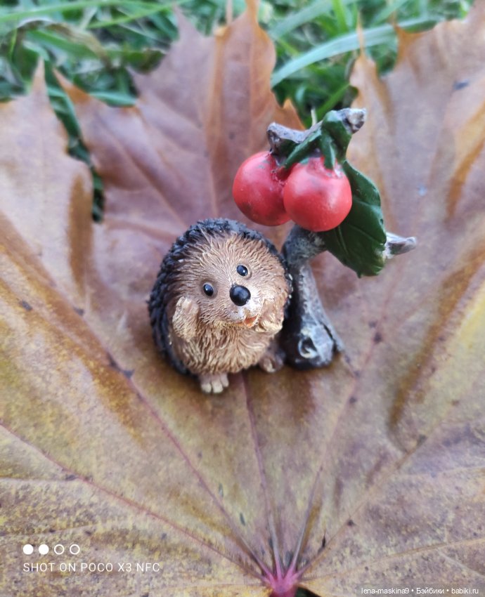 Ёжик, осень и хорошее настроение (фото 9)