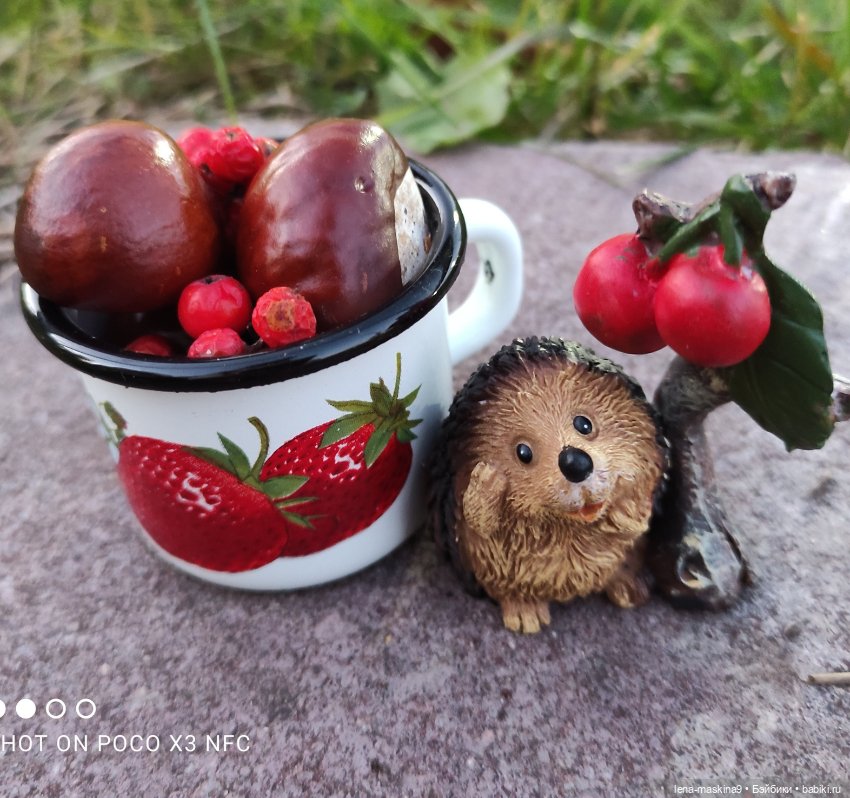 Ёжик, осень и хорошее настроение (фото 5)