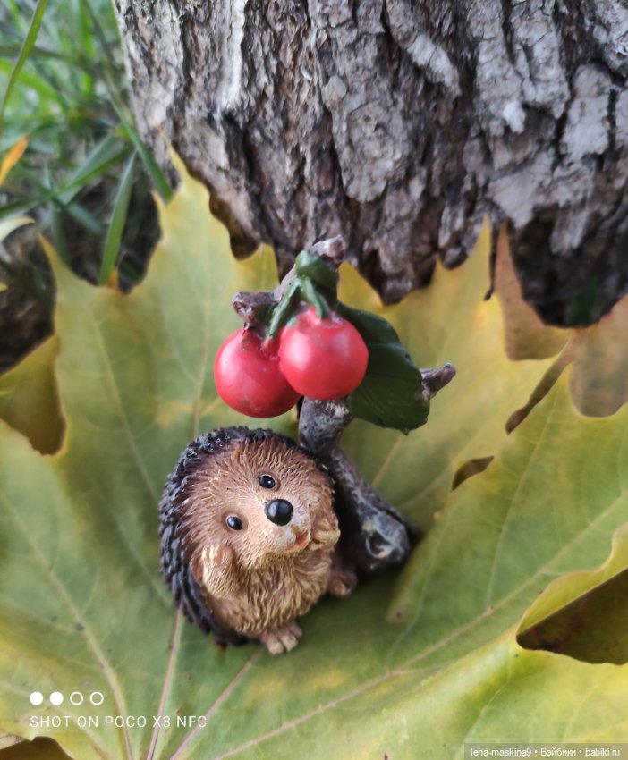 Ёжик, осень и хорошее настроение