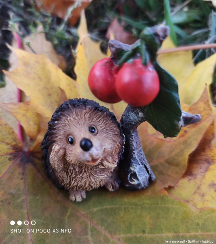 Ёжик, осень и хорошее настроение