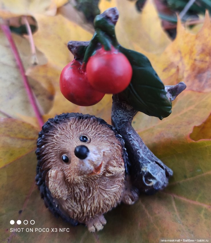 Ёжик, осень и хорошее настроение