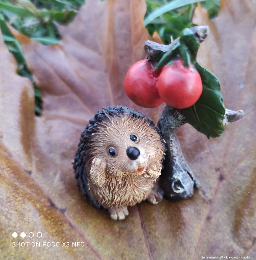 Ёжик, осень и хорошее настроение