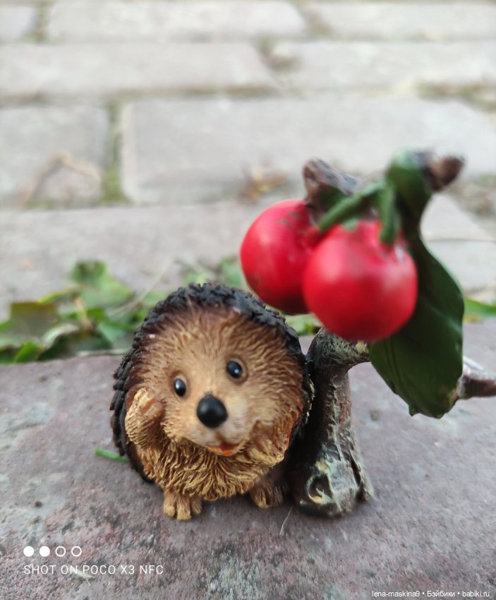 Ёжик, осень и хорошее настроение