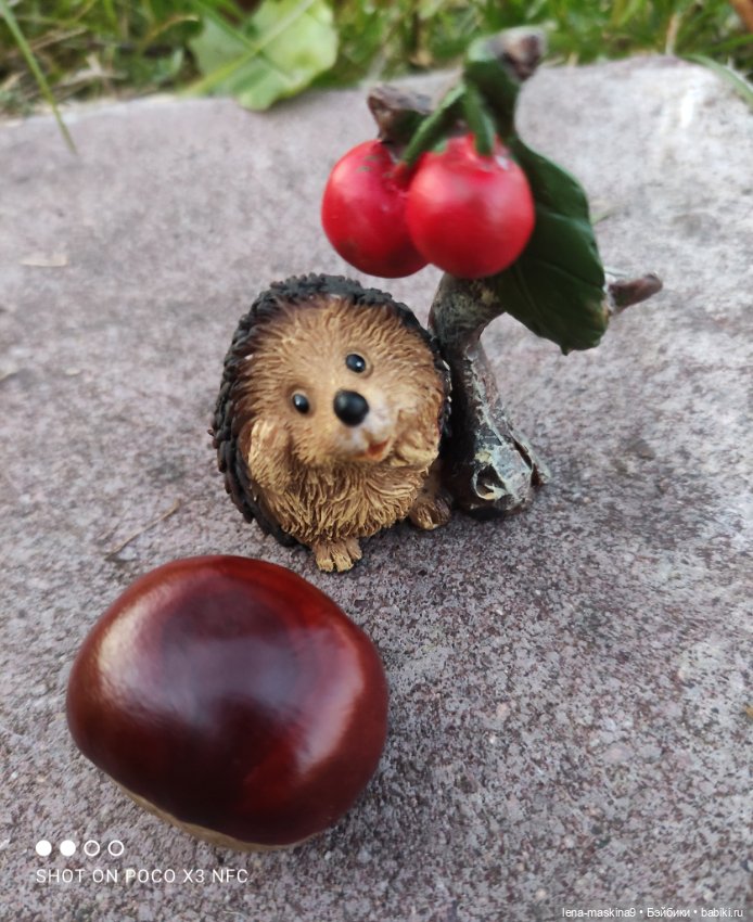 Ёжик, осень и хорошее настроение (фото 10)