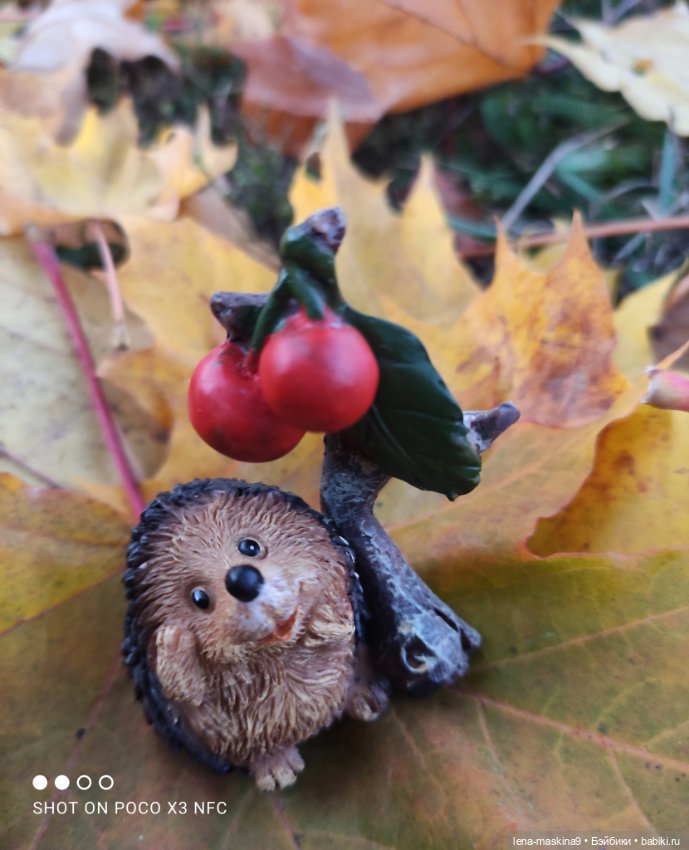 Ёжик, осень и хорошее настроение