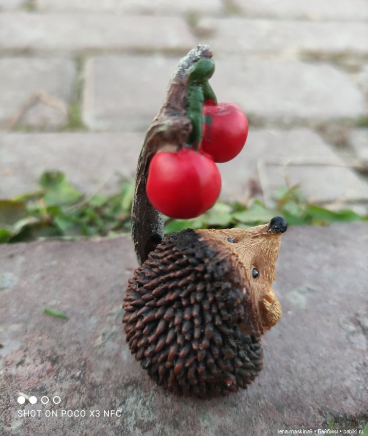 Ёжик, осень и хорошее настроение