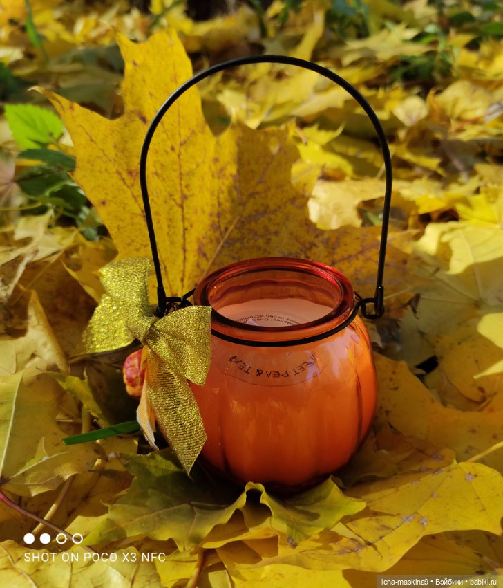 Ёжик, осень и хорошее настроение