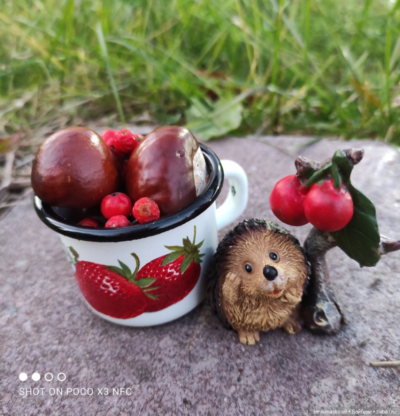 Ёжик, осень и хорошее настроение