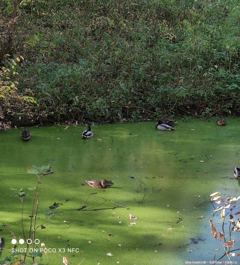 Лина и осень — Коллекционные куклы разных авторов (Разное): редкие бренды